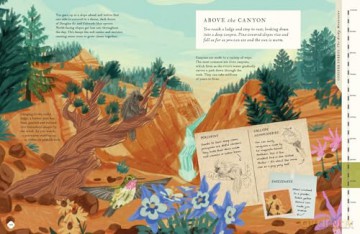There's a Mountain in This Book - Rachel Elliot [KSIĄŻKA]
