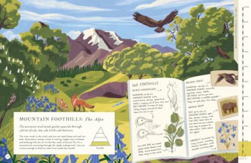 There's a Mountain in This Book - Rachel Elliot [KSIĄŻKA]