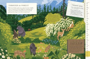 There's a Mountain in This Book - Rachel Elliot [KSIĄŻKA]