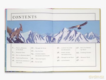 There's a Mountain in This Book - Rachel Elliot [KSIĄŻKA]