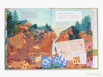 There's a Mountain in This Book - Rachel Elliot [KSIĄŻKA]