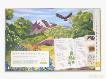 There's a Mountain in This Book - Rachel Elliot [KSIĄŻKA]