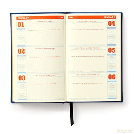 Things I'll Cancel Later Undated Mini Planner: Undated Standard Planner - Brass Monkey [KSIĄŻKA]