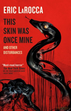 This Skin Was Once Mine and Other Disturbances - Eric LaRocca [KSIĄŻKA]