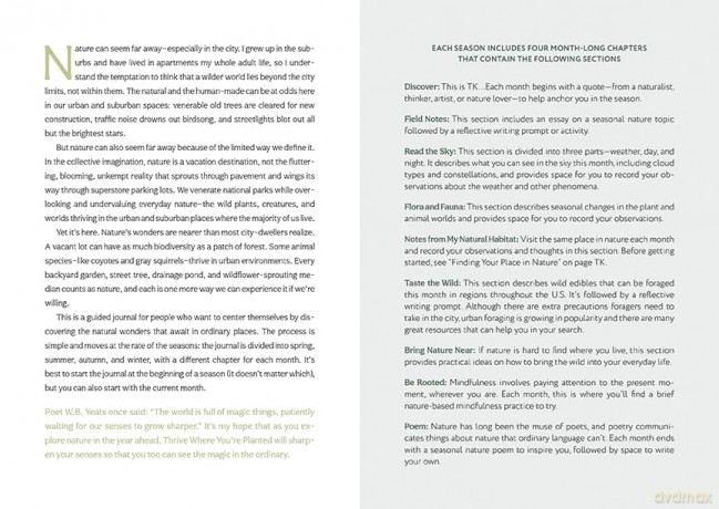 Thrive Where You're Planted: A Guided Journal to Help You Get Outside, Touch Grass, and Connect with the Natural Wonders in Your Neighborhood - Andrea Debbink [KSIĄŻKA]