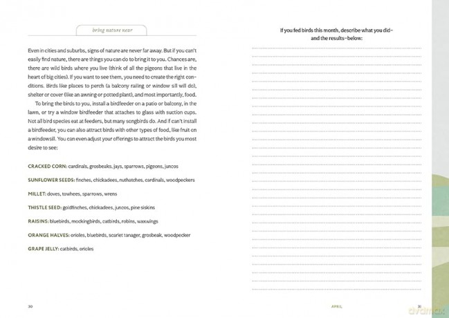 Thrive Where You're Planted: A Guided Journal to Help You Get Outside, Touch Grass, and Connect with the Natural Wonders in Your Neighborhood - Andrea Debbink [KSIĄŻKA]