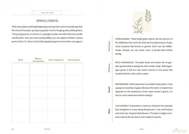 Thrive Where You're Planted: A Guided Journal to Help You Get Outside, Touch Grass, and Connect with the Natural Wonders in Your Neighborhood - Andrea Debbink [KSIĄŻKA]
