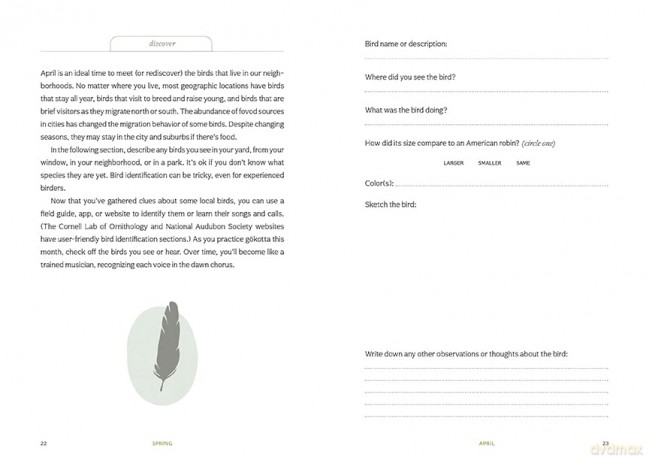 Thrive Where You're Planted: A Guided Journal to Help You Get Outside, Touch Grass, and Connect with the Natural Wonders in Your Neighborhood - Andrea Debbink [KSIĄŻKA]