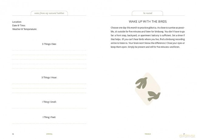 Thrive Where You're Planted: A Guided Journal to Help You Get Outside, Touch Grass, and Connect with the Natural Wonders in Your Neighborhood - Andrea Debbink [KSIĄŻKA]