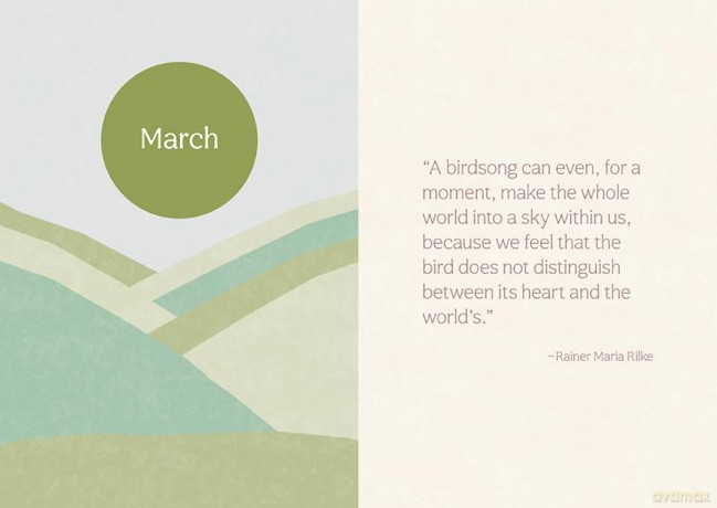 Thrive Where You're Planted: A Guided Journal to Help You Get Outside, Touch Grass, and Connect with the Natural Wonders in Your Neighborhood - Andrea Debbink [KSIĄŻKA]