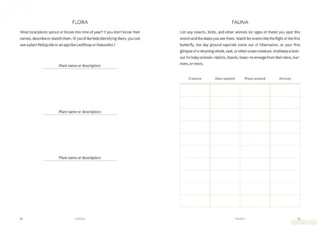 Thrive Where You're Planted: A Guided Journal to Help You Get Outside, Touch Grass, and Connect with the Natural Wonders in Your Neighborhood - Andrea Debbink [KSIĄŻKA]