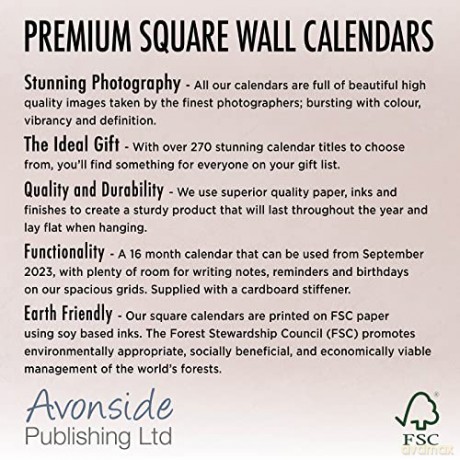 Tigers Calendar 2024 | Square Wildlife Safari Big Cats Wall Calendar - 16 Month [KALENDARZ]