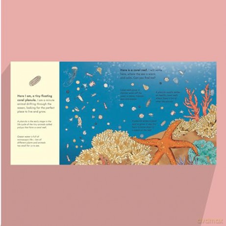 Tiny, Floating Coral: 3 (Start Small, Think Big): A fact-filled picture book about the life cycle of coral, with fold-out map of the world's coral reefs (ages 4-8) - Mary Auld [KSIĄŻKA]
