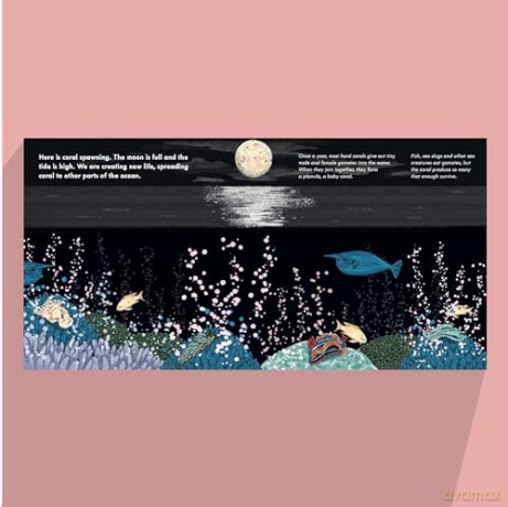 Tiny, Floating Coral: 3 (Start Small, Think Big): A fact-filled picture book about the life cycle of coral, with fold-out map of the world's coral reefs (ages 4-8) - Mary Auld [KSIĄŻKA]