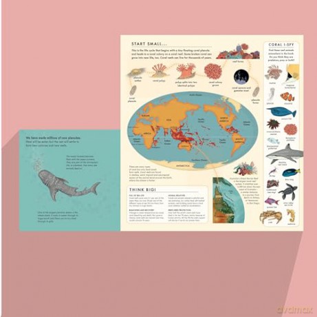 Tiny, Floating Coral: 3 (Start Small, Think Big): A fact-filled picture book about the life cycle of coral, with fold-out map of the world's coral reefs (ages 4-8) - Mary Auld [KSIĄŻKA]