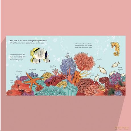 Tiny, Floating Coral: 3 (Start Small, Think Big): A fact-filled picture book about the life cycle of coral, with fold-out map of the world's coral reefs (ages 4-8) - Mary Auld [KSIĄŻKA]