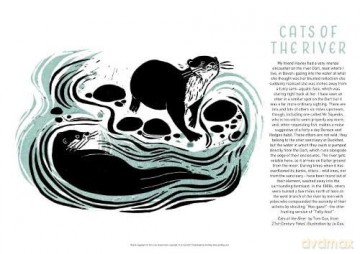 Tom Cox's 21st Century Yokel Poster - Cats of The River (Tom Cox's Country Yokel Posters) - Tom Cox [KSIĄŻKA]