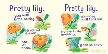 Tomorrow's Lily - Raschka Chris [KSIĄŻKA]