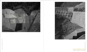 Toshio Shibata: Japan - Phillip Prodger [KSIĄŻKA]