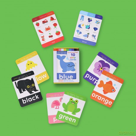 TouchWords: Color Cards: Touch and Feel (Touch Think Learn) - Rilla Alexander [KSIĄŻKA]