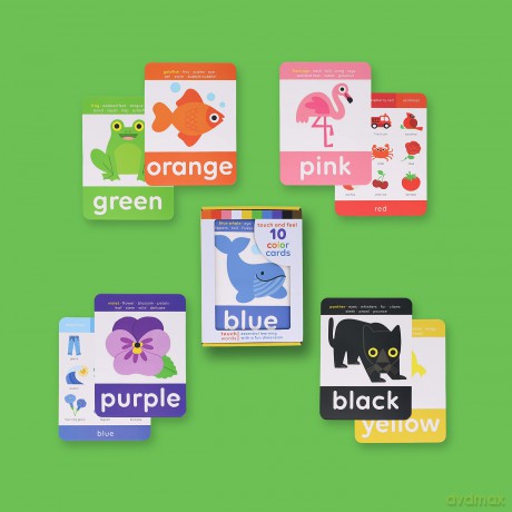 TouchWords: Color Cards: Touch and Feel (Touch Think Learn) - Rilla Alexander [KSIĄŻKA]