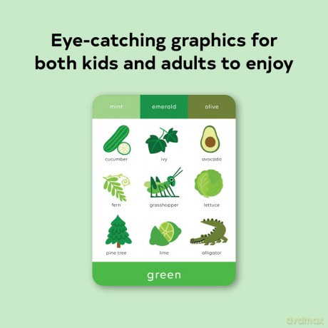 TouchWords: Color Cards: Touch and Feel (Touch Think Learn) - Rilla Alexander [KSIĄŻKA]