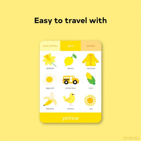 TouchWords: Color Cards: Touch and Feel (Touch Think Learn) - Rilla Alexander [KSIĄŻKA]