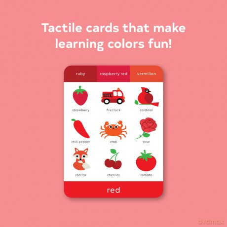 TouchWords: Color Cards: Touch and Feel (Touch Think Learn) - Rilla Alexander [KSIĄŻKA]