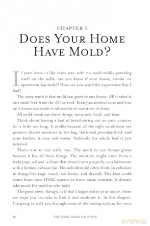 Toxic Mold Solution, The: A Comprehensive Guide to Healing Your Home and Body from Mold: From Physical Symptoms to Tests and Everything in Between - Laura Linn Knight [KSIĄŻKA]
