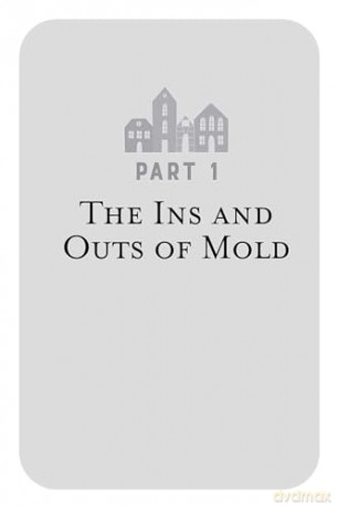 Toxic Mold Solution, The: A Comprehensive Guide to Healing Your Home and Body from Mold: From Physical Symptoms to Tests and Everything in Between - Laura Linn Knight [KSIĄŻKA]