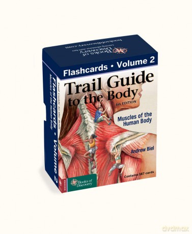 Trail Guide to the Body Flashcards, Vol 2: Muscles of the Body - Andrew Biel [KSIĄŻKA]