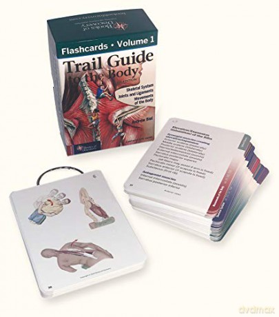 Trail Guide to the Body Flashcards, Vol 2: Muscles of the Body - Andrew Biel [KSIĄŻKA]