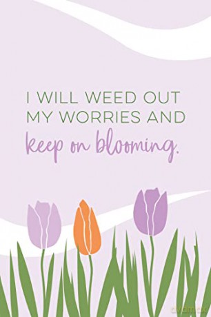 Tranquility Cards: Garden Bliss: 48 Mindful Affirmation Cards for Daily Meditation - Aimee Chase [KSIĄŻKA]