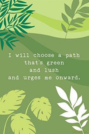 Tranquility Cards: Garden Bliss: 48 Mindful Affirmation Cards for Daily Meditation - Aimee Chase [KSIĄŻKA]