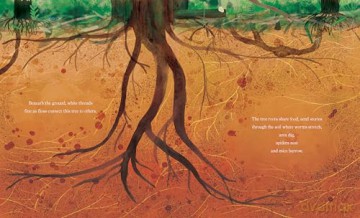 Tree - Claire Saxby [KSIĄŻKA]