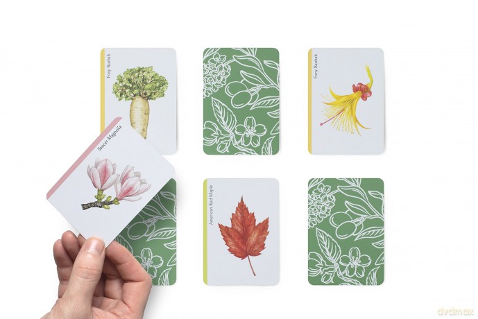 Tree Families: A Botanical Card Game (Magma for Laurence King) - Tony Kirkham [KSIĄŻKA]