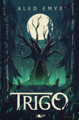 Trigo - Aled Emyr [KSIĄŻKA]