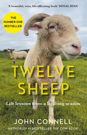 Twelve Sheep: Life lessons from a lambing season - John Connell [KSIĄŻKA]