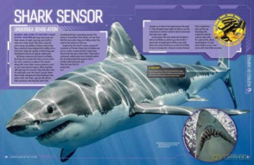 Ultimate Book of the Future: Incredible, Ingenious, and Totally Real Tech that will Change Life as You Know It (National Geographic Kids) - National Geographic Kids [KSIĄŻKA]