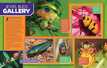 Ultimate Bugopedia (2nd Edition): The Most Complete Bug Reference Ever (National Geographic Kids) - Darlyne Murawski [KSIĄŻKA]