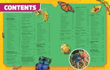 Ultimate Bugopedia (2nd Edition): The Most Complete Bug Reference Ever (National Geographic Kids) - Darlyne Murawski [KSIĄŻKA]