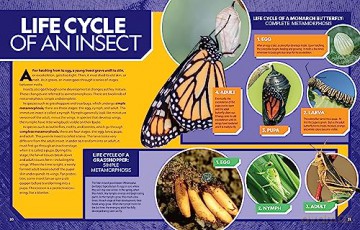 Ultimate Bugopedia (2nd Edition): The Most Complete Bug Reference Ever (National Geographic Kids) - Darlyne Murawski [KSIĄŻKA]