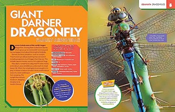 Ultimate Bugopedia (2nd Edition): The Most Complete Bug Reference Ever (National Geographic Kids) - Darlyne Murawski [KSIĄŻKA]