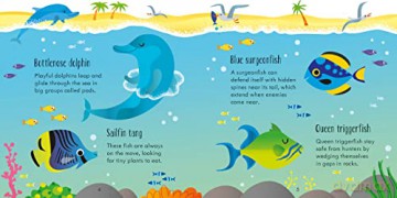 Under the Sea Matching Games: 1 - Kate Nolan [KSIĄŻKA]