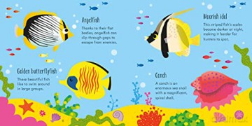 Under the Sea Matching Games: 1 - Kate Nolan [KSIĄŻKA]