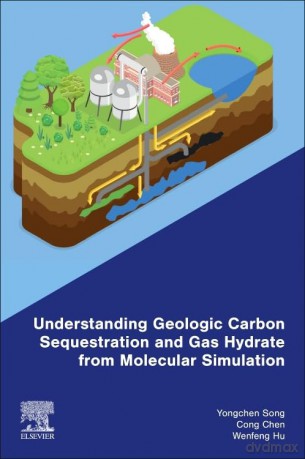 Understanding Geologic Carbon Sequestration and Gas Hydrate from Molecular Simulation - Roald Dahl [KSIĄŻKA]