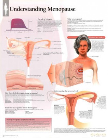 Understanding Menopause [KSIĄŻKA]