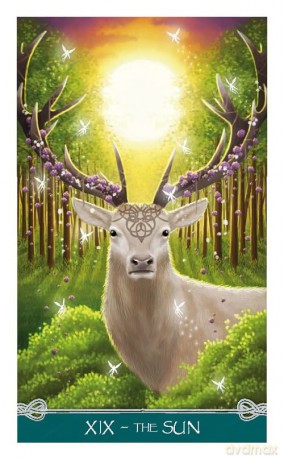Universal Celtic Tarot - Mini Tarot: 78 full colour mini tarot cards and instructions - Floreana Nativo [KSIĄŻKA]