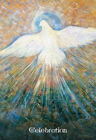 Universal Love - Special 20th Anniversary Edition: Healing Oracle Cards - 45 colour cards with gold foil and 72-page guidebook set - Toni Carmine Salerno [KSIĄŻKA]