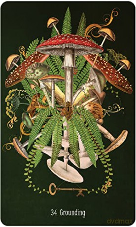 Unlocking the Secret Garden Oracle - Angi Sullins [KSIĄŻKA]